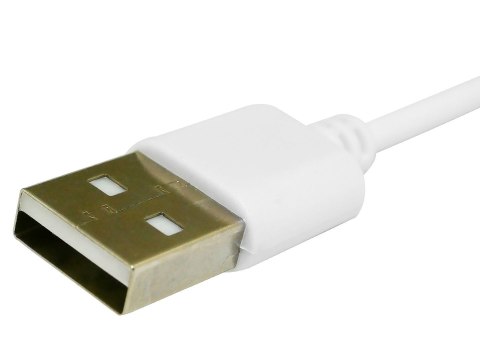 Kabel ładujący do Smartwatcha GIEWONT GW510 7,3 mm GWK2 Kabel ładujący do Smartwatcha GIEWONT GW510 7,3 mm GWK2