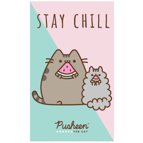 Ręcznik przedszkolny dla dziecka 30x50 Pusheen Carbotex Ręcznik przedszkolny dla dziecka 30x50 Pusheen Carbotex