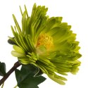KWIAT FLORE 799 76 CM ZIELONY EUROFIRANY