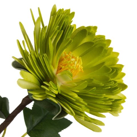 KWIAT FLORE 799 76 CM ZIELONY EUROFIRANY KWIAT FLORE 799 76 CM ZIELONY EUROFIRANY