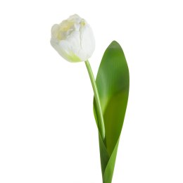 KWIAT NATU 475 37 CM BIAŁY EUROFIRANY