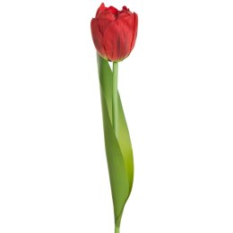 KWIAT NATU 475 37 CM CZERWONY EUROFIRANY