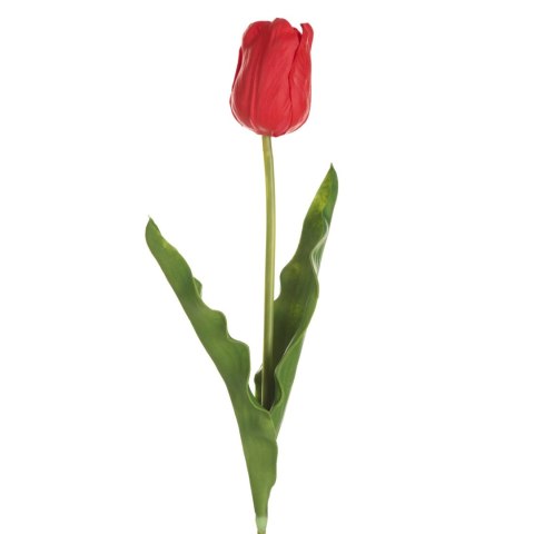 KWIAT NATU 477 56 CM CZERWONY EUROFIRANY KWIAT NATU 477 56 CM CZERWONY EUROFIRANY