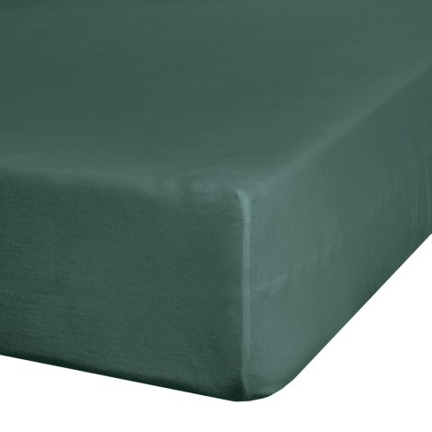 PRZEŚCIERADŁO JERSEY3 90 X 200 X 25 CM CIEMNOZIELONY EUROFIRANY PRZEŚCIERADŁO JERSEY3 90 X 200 X 25 CM CIEMNOZIELONY EUROFIRANY