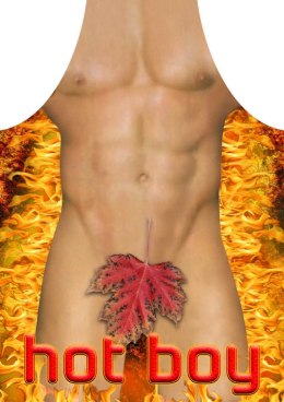 Fartuch nr 31 (hot boy).. Darymex