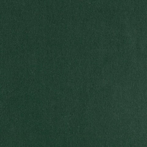 PRZEŚCIERADŁO Z GUMKĄ JERSEY D91 90 X 200 X 25 CM BUTELKOWY ZIELONY EUROFIRANY PRZEŚCIERADŁO Z GUMKĄ JERSEY D91 90 X 200 X 25 CM BUTELKOWY ZIELONY EUROFIRANY