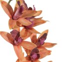 KWIAT NATU 369 FI 10 X 76 CM POMARAŃCZOWY EUROFIRANY