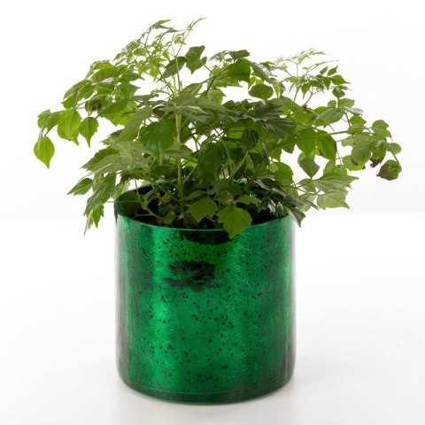 SZKŁO DEKORACYJNE VERRE3 (3) FI 12 X 12 CM ZIELONY EUROFIRANY SZKŁO DEKORACYJNE VERRE3 (3) FI 12 X 12 CM ZIELONY EUROFIRANY