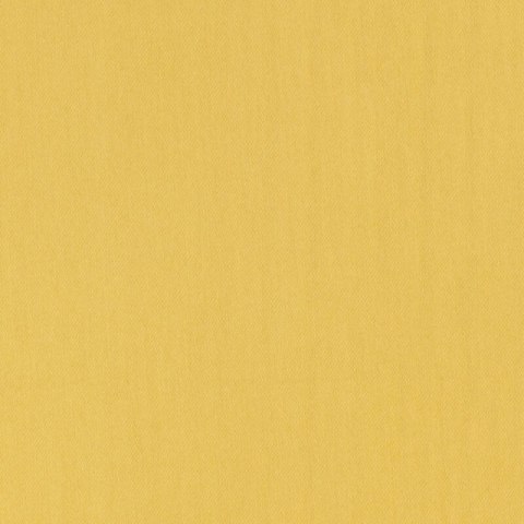 PRZEŚCIERADŁO NOVA 220 X 210 CM MUSZTARDOWY EUROFIRANY PRZEŚCIERADŁO NOVA 220 X 210 CM MUSZTARDOWY EUROFIRANY