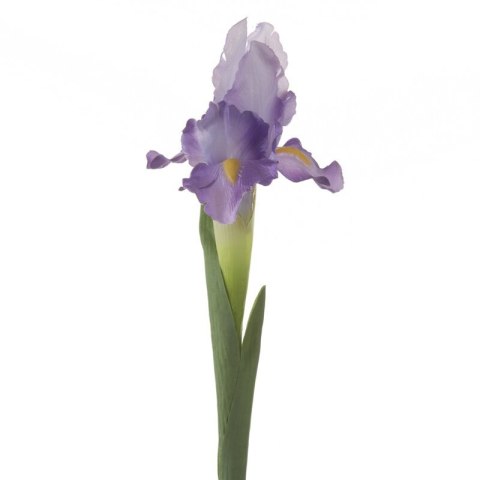 KWIAT NATU 330 70 CM FIOLETOWY EUROFIRANY KWIAT NATU 330 70 CM FIOLETOWY EUROFIRANY