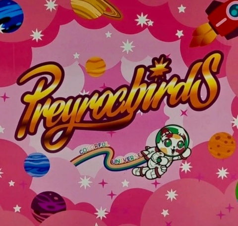 Wrotki „Wieczna Młodość” (Rozmiar 39-41)