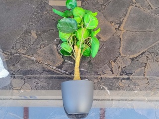 Sztuczne Drzewko „Wieczna Zieleń” – Roślina dla seryjnych morderców kwiatków